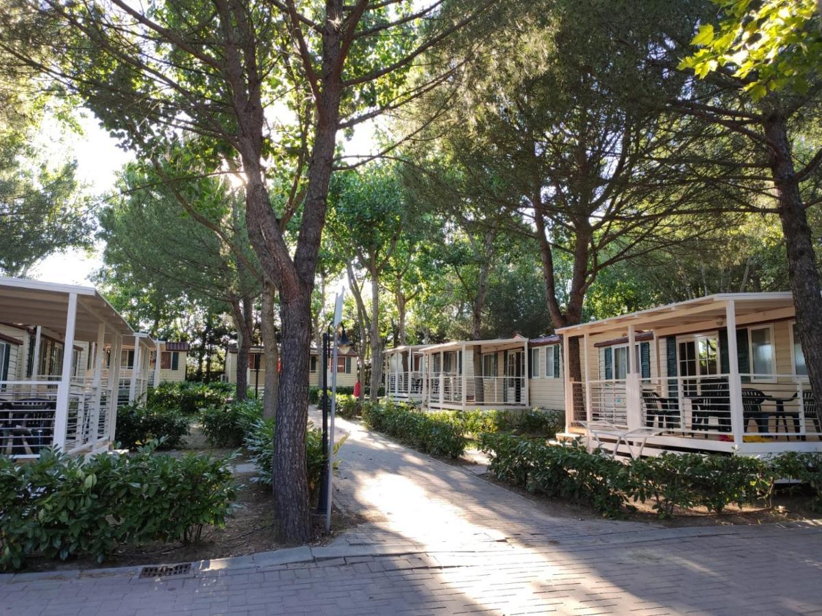 Badiaccia Village Camping Castiglione del Lago Ngoại thất bức ảnh